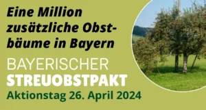 Apfelsaft aus Streuobstwiesen ist uns der liebste. Deshalb unterstützt ORO die Aktion Bayerischer Streuobstpakt